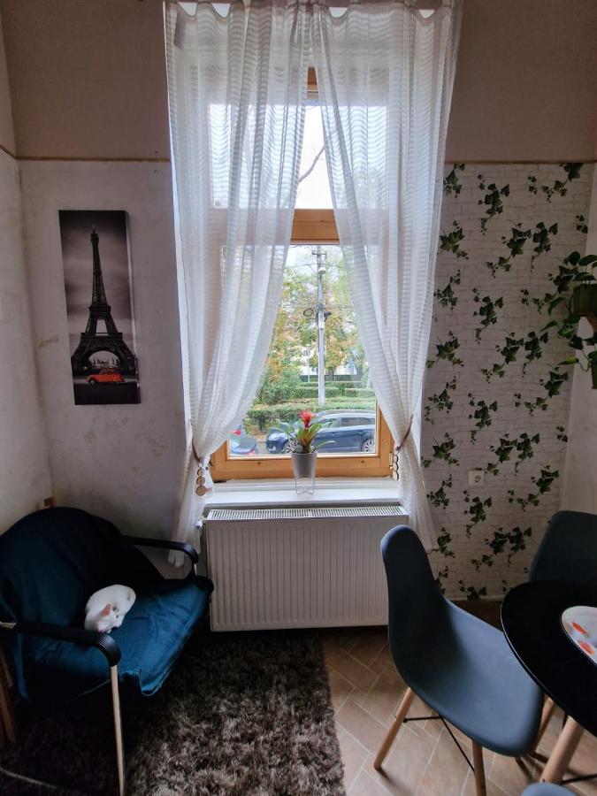 Apartament Ultracentral 2 Piata Muzeului クルージュ＝ナポカ エクステリア 写真