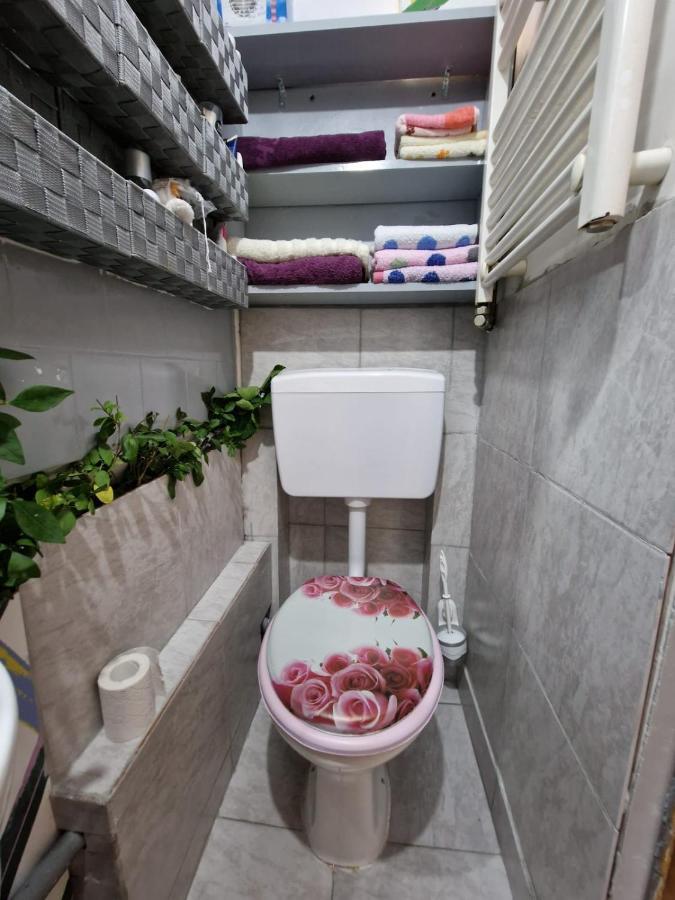 Apartament Ultracentral 2 Piata Muzeului クルージュ＝ナポカ エクステリア 写真