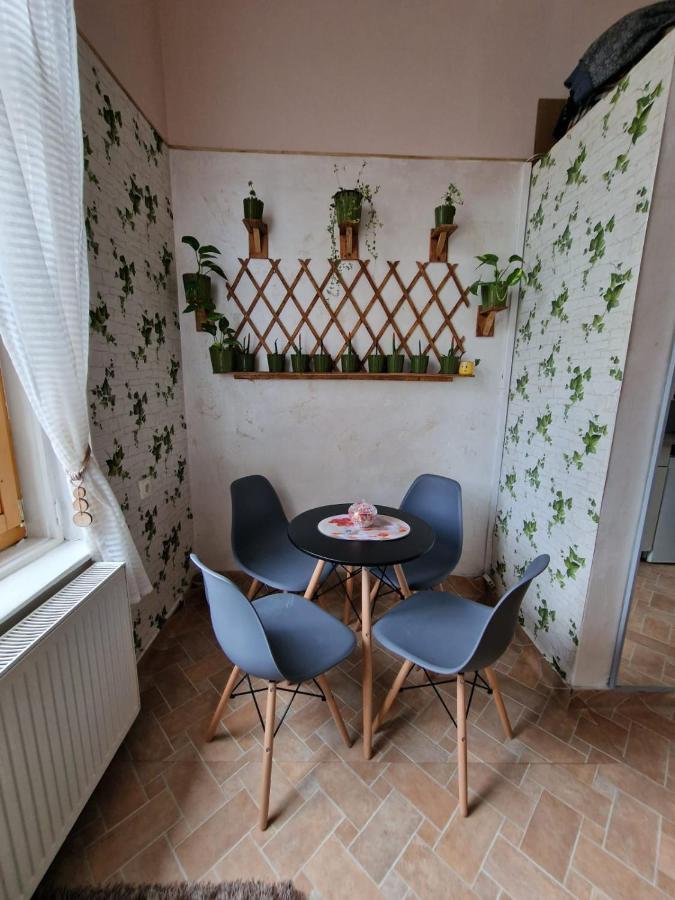 Apartament Ultracentral 2 Piata Muzeului クルージュ＝ナポカ エクステリア 写真